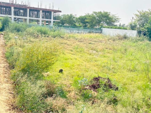 Residential Plot in Sector 88B for resale Gurgaon. The reference number is 20570133