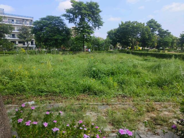 Residential Plot in Sector 89 for resale Gurgaon. The reference number is 21195760