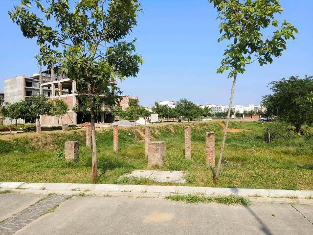 Residential Plot in Sector 89 for resale Gurgaon. The reference number is 21207652