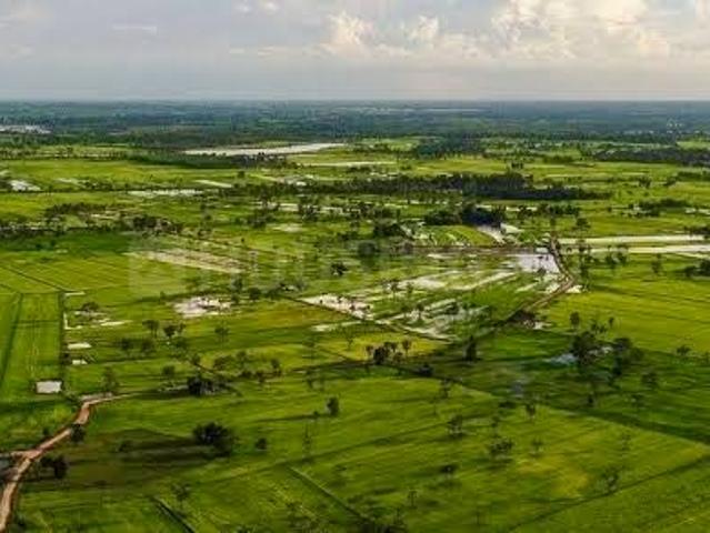 Residential Plot in Sector 93 for resale Gurgaon. The reference number is 20401314