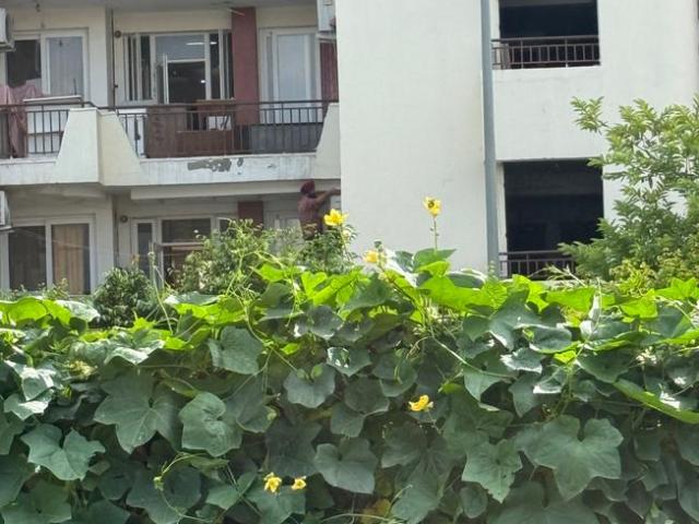 Residential Plot in Sector 91 for resale Mohali. The reference number is 20776847