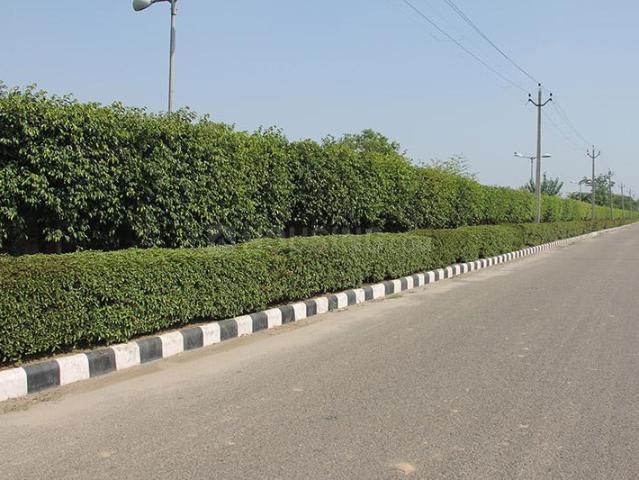 Residential Plot in Sector 91 for resale Mohali. The reference number is 20812510
