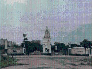 Residential Plot in Sector 92 for resale Gurgaon. The reference number is 20428376