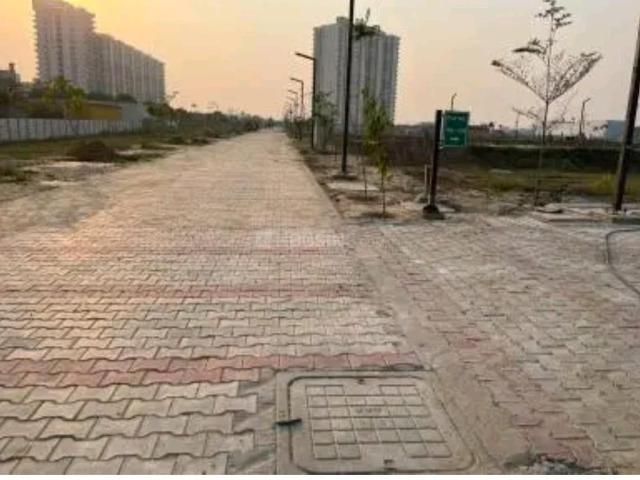 Residential Plot in Sector 95 for resale Gurgaon. The reference number is 20820329