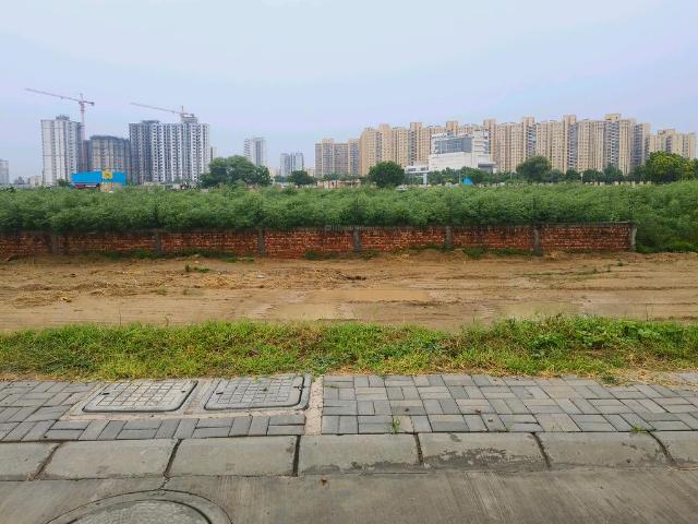 Residential Plot in Sector 95A for resale Gurgaon. The reference number is 20493002