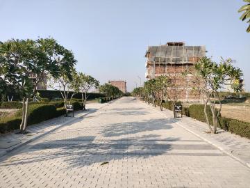 Sector-52 Faridabad, Faridabad, Gautam Buddha Nagar District, Delhi