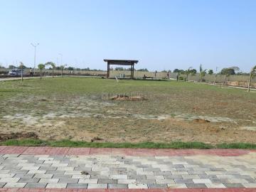 Sector-52 Faridabad, Faridabad, Gautam Buddha Nagar District, Delhi