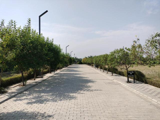 Residential Plot in Sector 98 for resale Faridabad. The reference number is 20051525