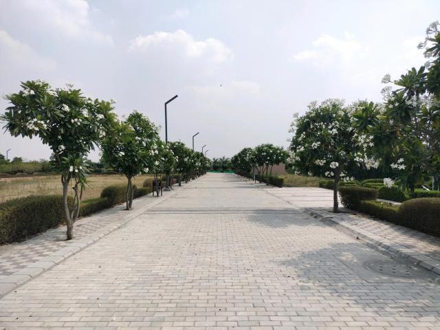 Residential Plot in Sector 98 for resale Faridabad. The reference number is 20160021