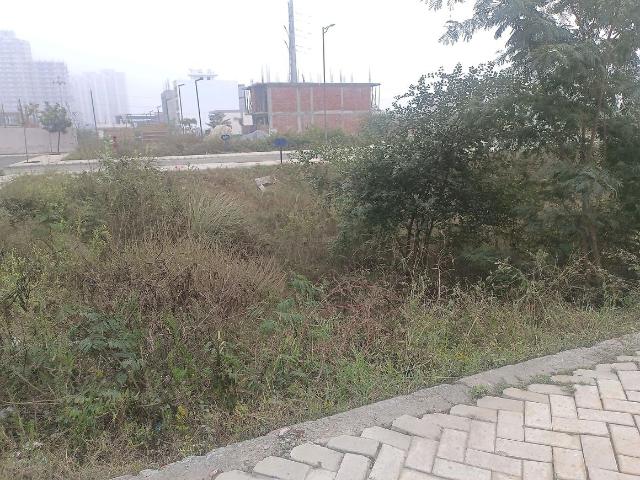 Residential Plot in Sector 99A for resale Gurgaon. The reference number is 19042042