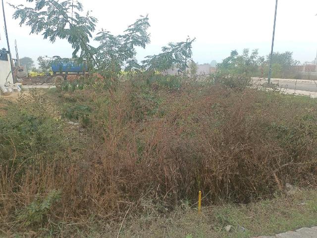 Residential Plot in Sector 99A for resale Gurgaon. The reference number is 19042201