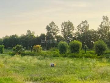 Land for sale in Sector-99 Gurgaon