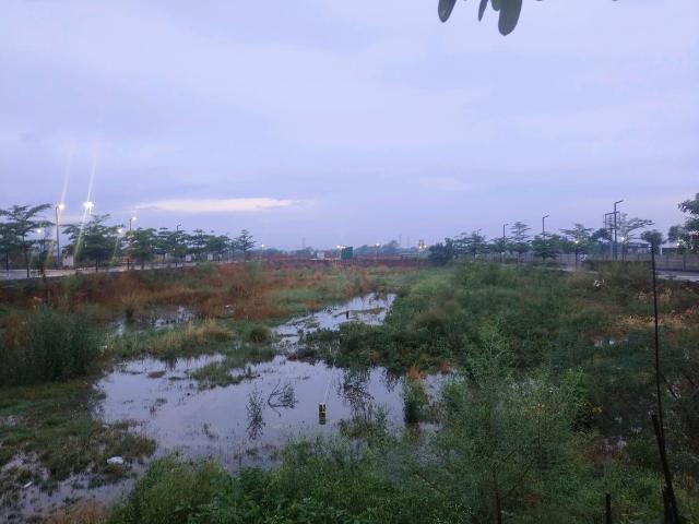 Residential Plot in Sector 99A for resale Gurgaon. The reference number is 20644880