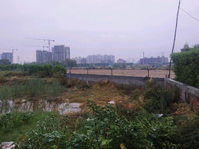 Residential Plot in Sector 99A for resale Gurgaon. The reference number is 20645018