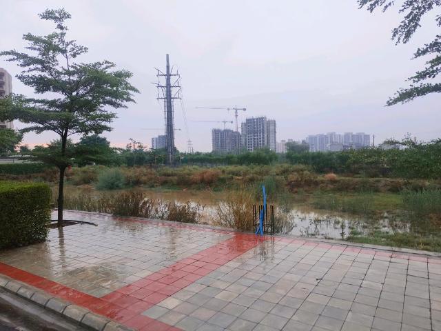 Residential Plot in Sector 99A for resale Gurgaon. The reference number is 20645032