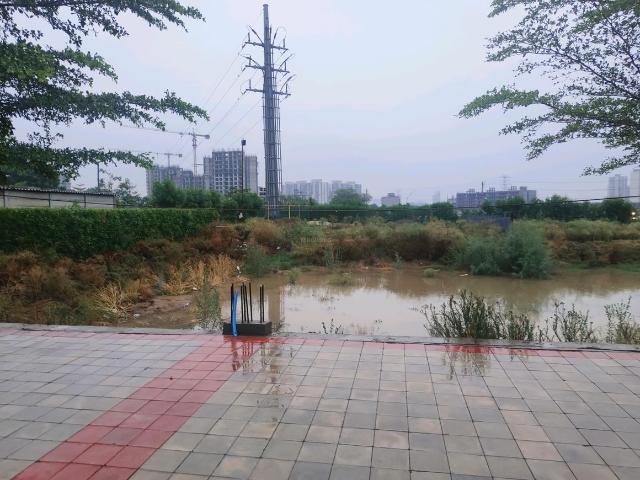 Residential Plot in Sector 99A for resale Gurgaon. The reference number is 20645069