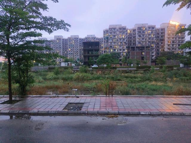 Residential Plot in Sector 99A for resale Gurgaon. The reference number is 20645462