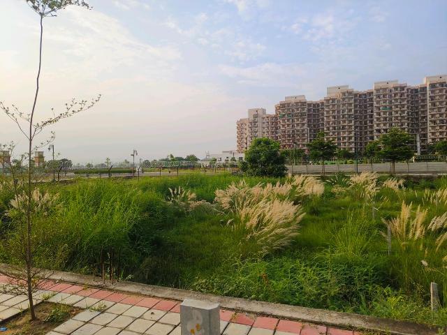 Residential Plot in Sector 99A for resale Gurgaon. The reference number is 21044251
