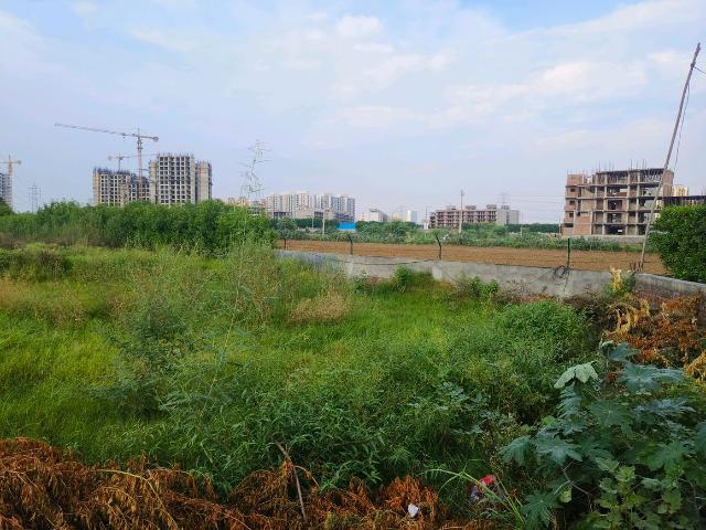 Residential Plot in Sector 99A for resale Gurgaon. The reference number is 21040420