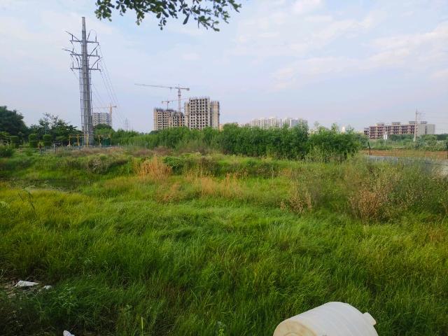 Residential Plot in Sector 99A for resale Gurgaon. The reference number is 21040433