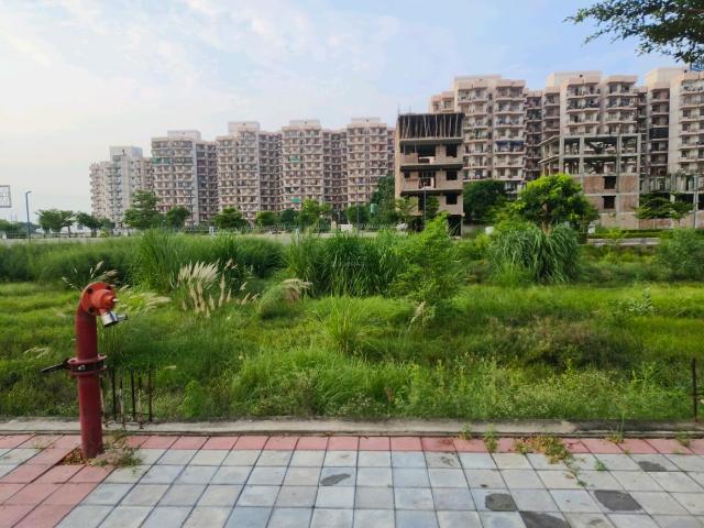 Residential Plot in Sector 99A for resale Gurgaon. The reference number is 21043194