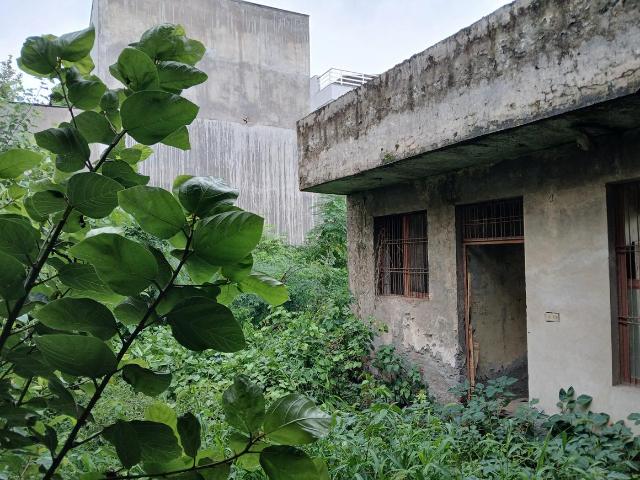 Residential Plot in Sector 9 for resale Faridabad. The reference number is 18709291
