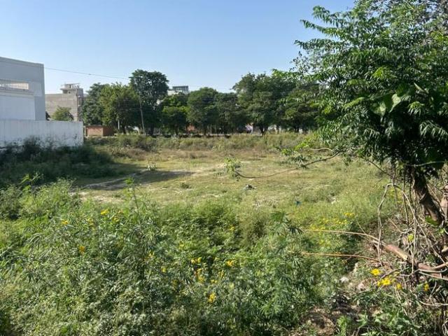 Residential Plot in Sector 9A for resale Bahadurgarh. The reference number is 19978749