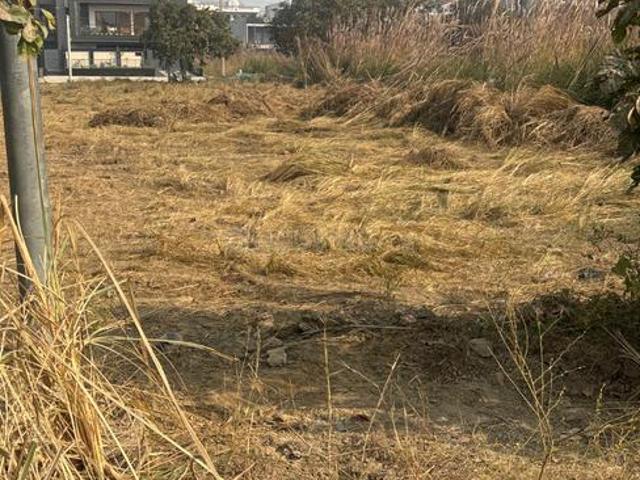 Residential Plot in Sector 13 for resale Bahadurgarh. The reference number is 19776783