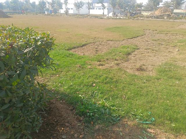 Residential Plot in Sector 102 for resale Gurgaon. The reference number is 18056852