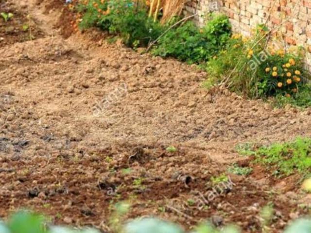 Residential Plot in Sector 104 for resale Gurgaon. The reference number is 20423014