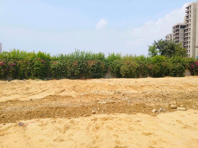 Residential Plot in Sector 104 for resale Gurgaon. The reference number is 21139463
