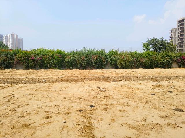 Residential Plot in Sector 104 for resale Gurgaon. The reference number is 21140347