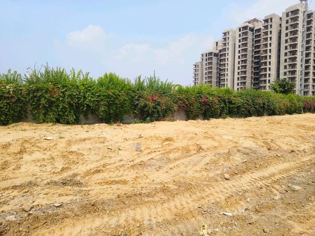 Residential Plot in Sector 104 for resale Gurgaon. The reference number is 21140678