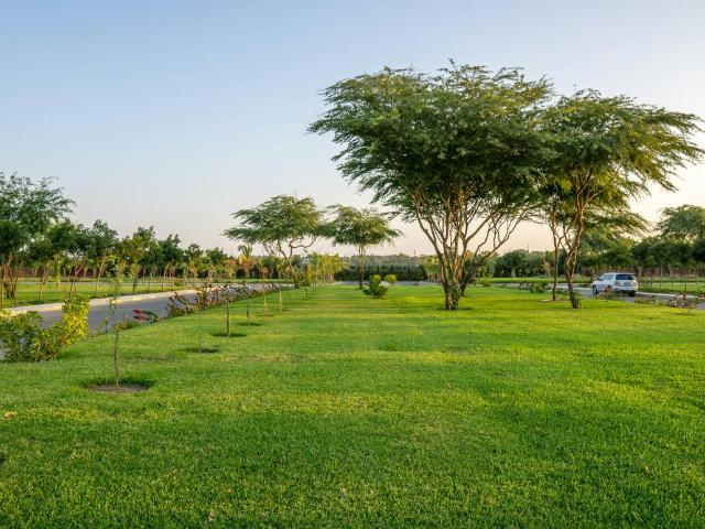 Residential Plot in Sector 104 for resale Gurgaon. The reference number is 21208864