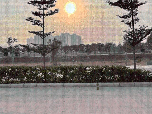 Residential Plot in Sector 109 for resale Gurgaon. The reference number is 20528660