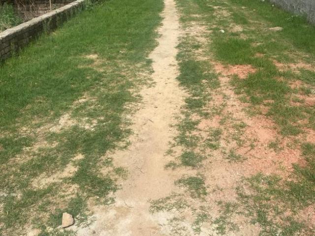 Residential Plot in Sector 109 for resale Gurgaon. The reference number is 20680227