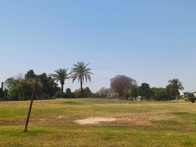 Residential Plot in Sector 109 for resale Mohali. The reference number is 19878853