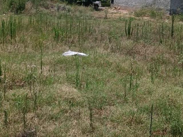 Residential Plot in Sector 109 for resale Mohali. The reference number is 20641521