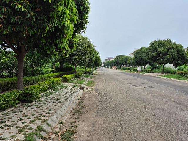 Residential Plot in Sector 109 for resale Mohali. The reference number is 21059308