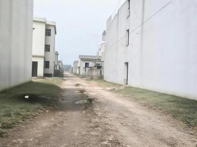 Residential Plot in Sector 110A for resale Gurgaon. The reference number is 19792101