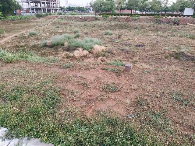 Residential Plot in Sector 110A for resale Gurgaon. The reference number is 20538267