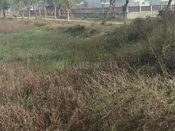 Land for sale in Punjab