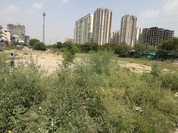 Residential Plot in Sector 116 for resale Noida. The reference number is 20436920