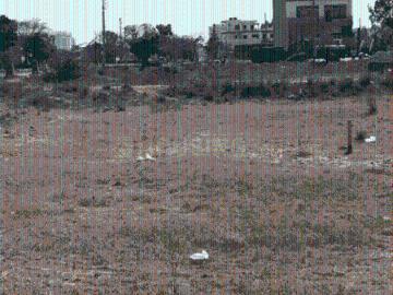Residential Plot in Sector 117 for resale Mohali. The reference number is 20307046