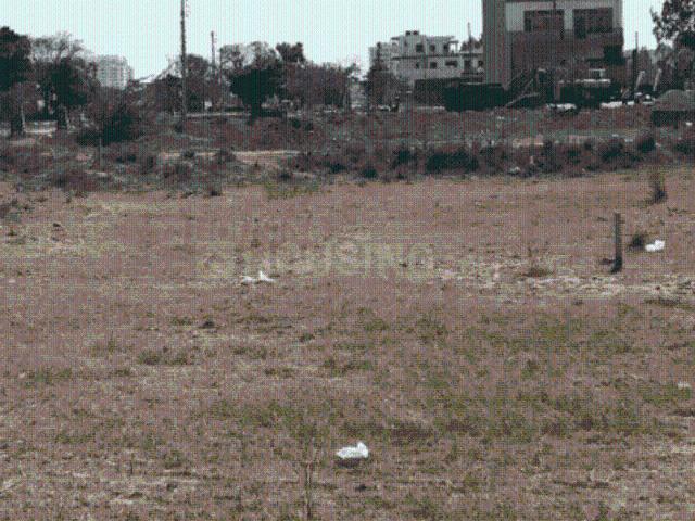 Residential Plot in Sector 117 for resale Mohali. The reference number is 20351247