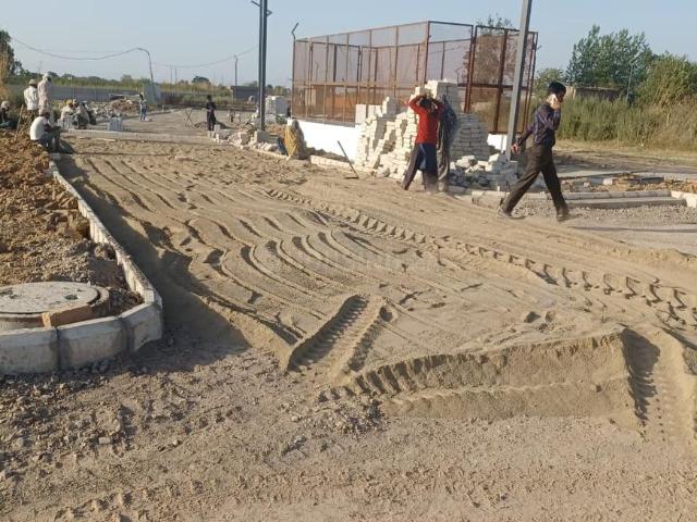 Residential Plot in Sector 117 for resale Mohali. The reference number is 20391412