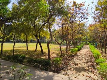 Sector-11 Noida, New Delhi, Delhi - Garden