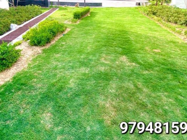 Residential Plot in Sector 11 for resale Gurgaon. The reference number is 13457825