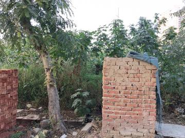 Mamura, Alpha 1 Suburb, Greater Noida, Gautam Buddha Nagar District, Delhi