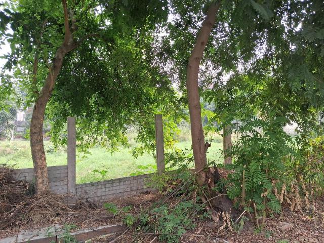 Residential Plot in Sector 122 for resale Noida. The reference number is 18447280